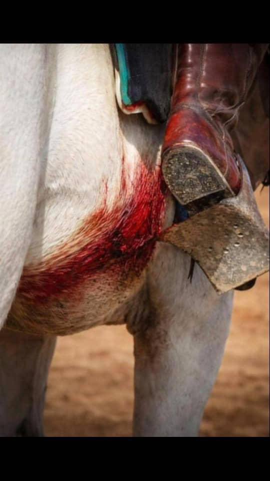 mcdelyt's tweet photo. Sometimes, the people carrying the heaviest pain are the ones who still show up with a smile, like the horse in this picture. 

Not everyone speaks about the harsh words, neglect, disappointments, or quiet battles they carry. Some people master the art of hurting silently while continuing to love, serve, and be there for others.

The painful part is that many wounds are not caused by cruelty, but by people who simply never paused long enough to notice.

Be kind. Not every scar is visible, and not every quiet person is okay.