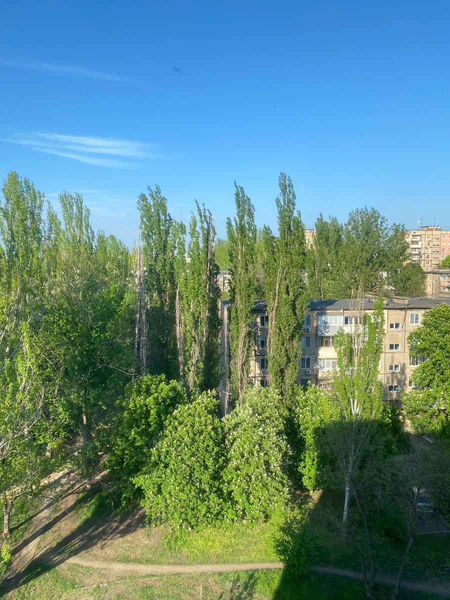 даня оттер tweet media