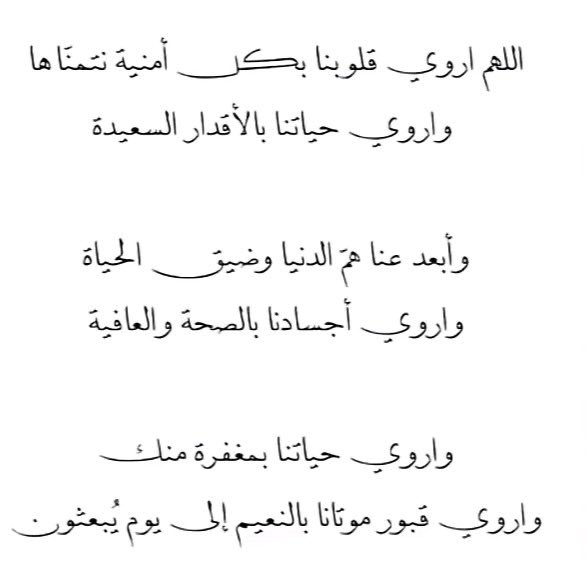 Shwshw0's tweet photo. #يوم_الترويه https://t.co/3eygMDitUw