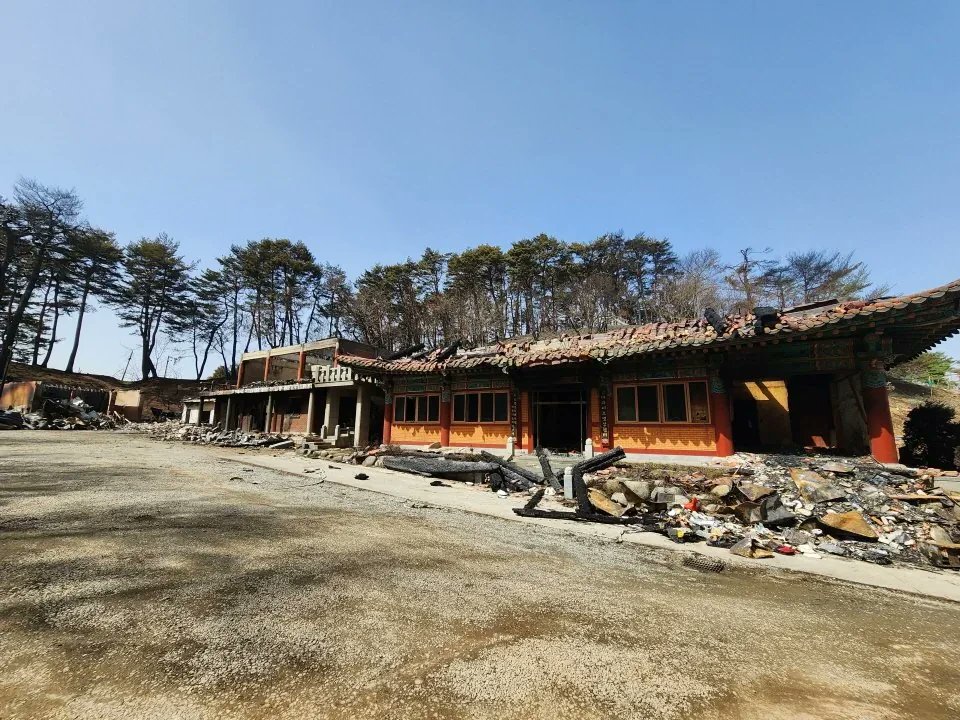 솔 tweet media