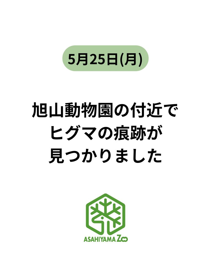 旭川市旭山動物園［公式］ tweet media