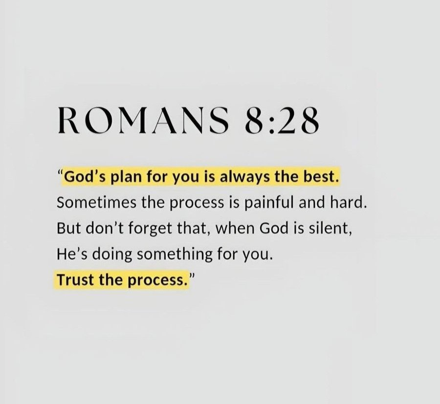 Bible 365 tweet media