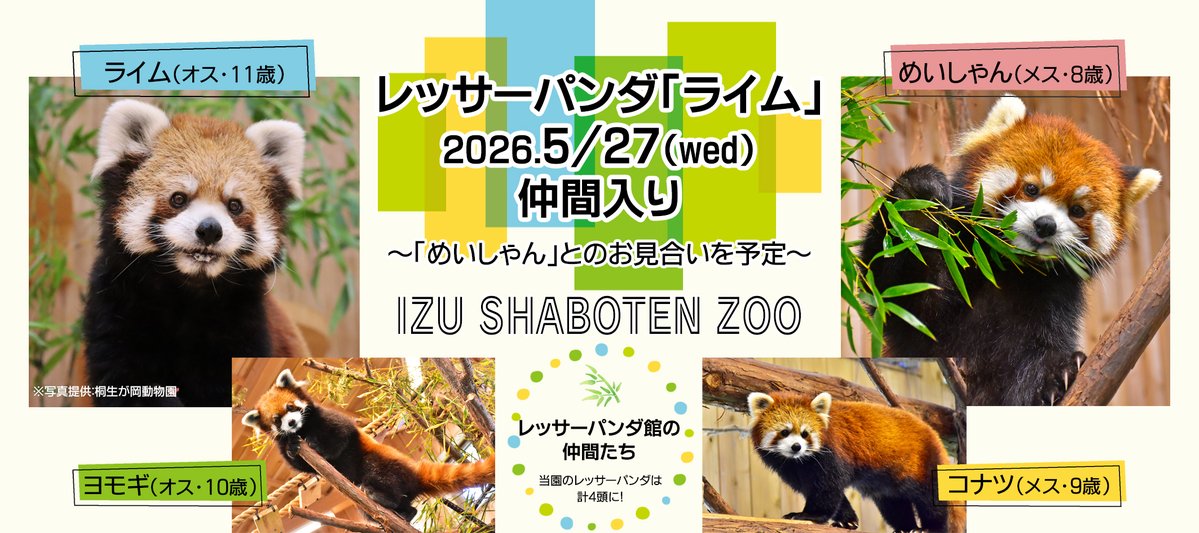 伊豆シャボテン動物公園グループ【公式】 tweet media