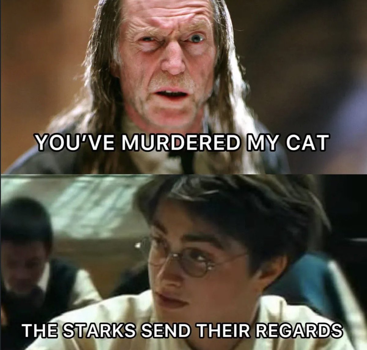 PotterWorldwide tweet media