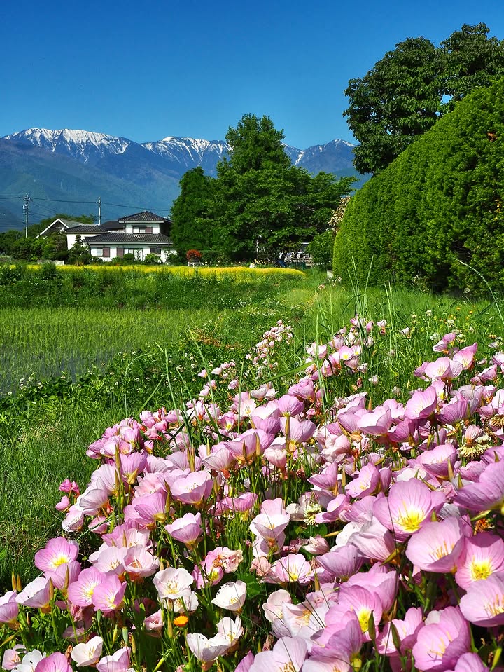 superNyKo's tweet photo. Hi friends 🏔🌳🌸 https://t.co/gymvjiG7mP