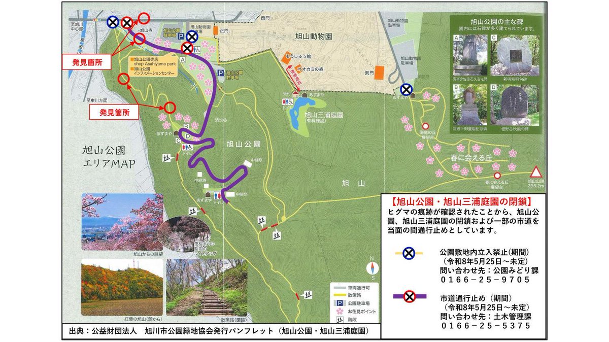 asahikawa_jp's tweet photo. 【旭山公園及び三浦庭園を一時閉鎖します】
5/25(月)、旭山公園にヒグマの痕跡が確認されたため、旭山公園、旭山三浦庭園の閉鎖及び一部の市道を当面の間通行止めとしています。

※今後、ヒグマの痕跡等についての調査を行い、閉鎖解除に支障がないと判断された場合、閉鎖を解除します。

#ヒグマ #旭川市 #公園みどり課