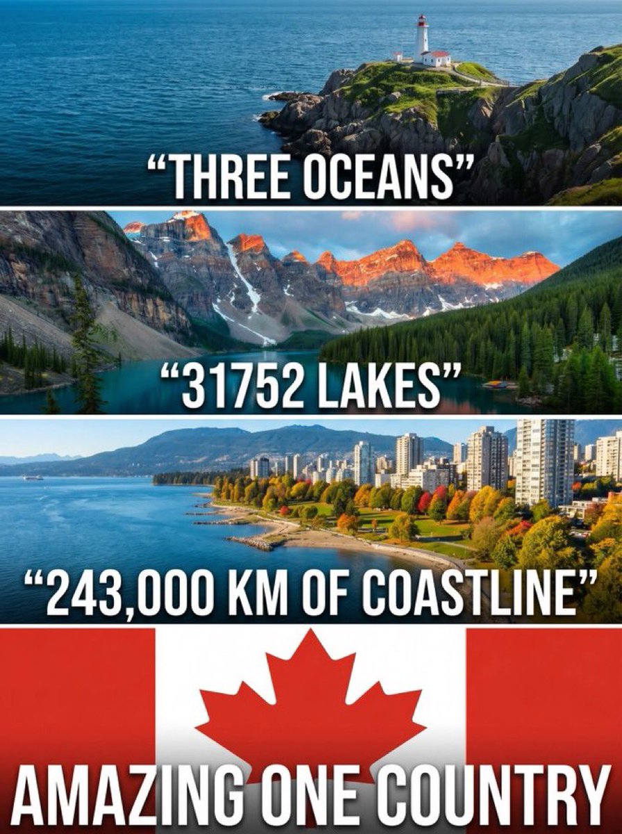 🇨🇦🍁Maple🍁🇨🇦 tweet media