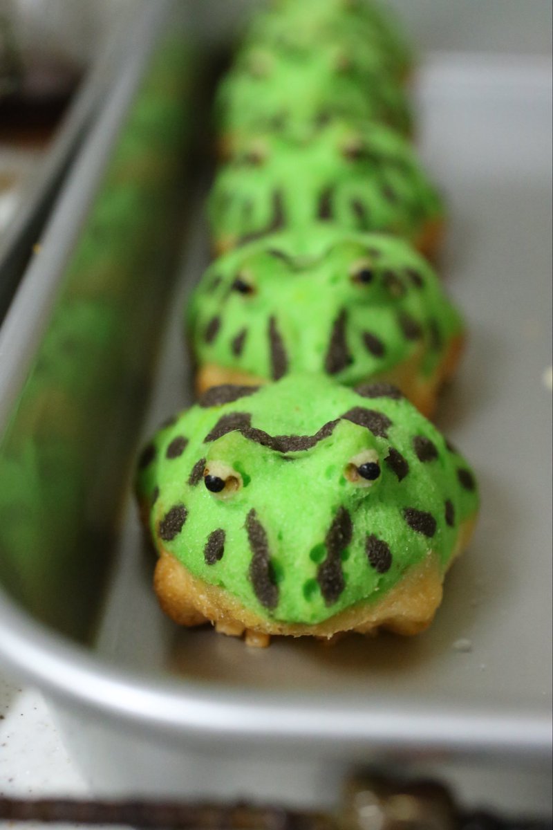neutral_2cv's tweet photo. 今週末の爬虫類フェスでカエルさんとハリネズミさんの焼きドーナツの里親募集させていただきます。
飲食コーナー内のいとだパン様のすみっこにいます。
5/30TV中継が入るらしいので(11時ごろ？)お楽しみに https://t.co/6PxbXvbhN9