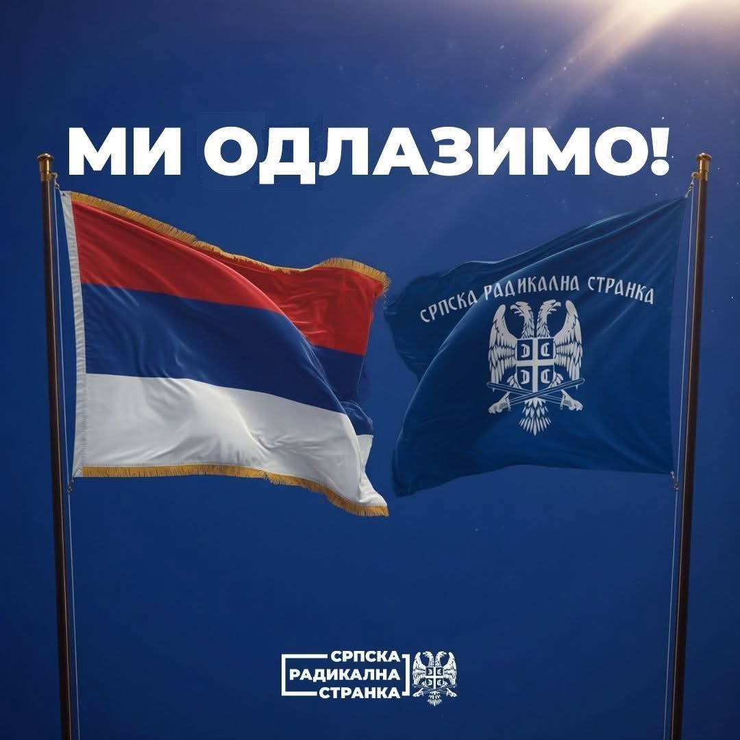 Misa Veselinovic tweet media