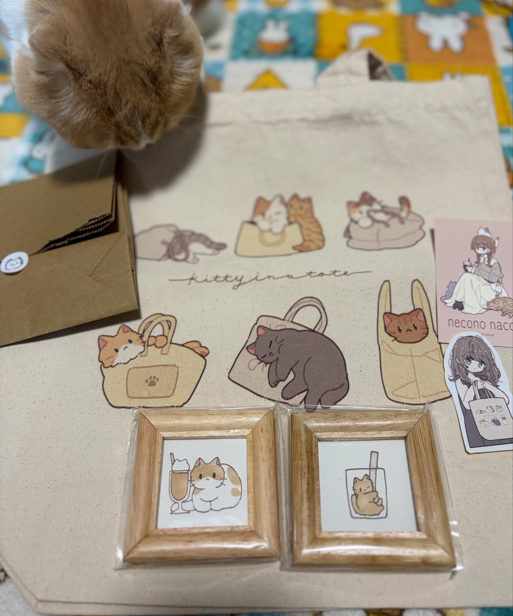 猫乃なこ (@necono_naco) / Posts / X