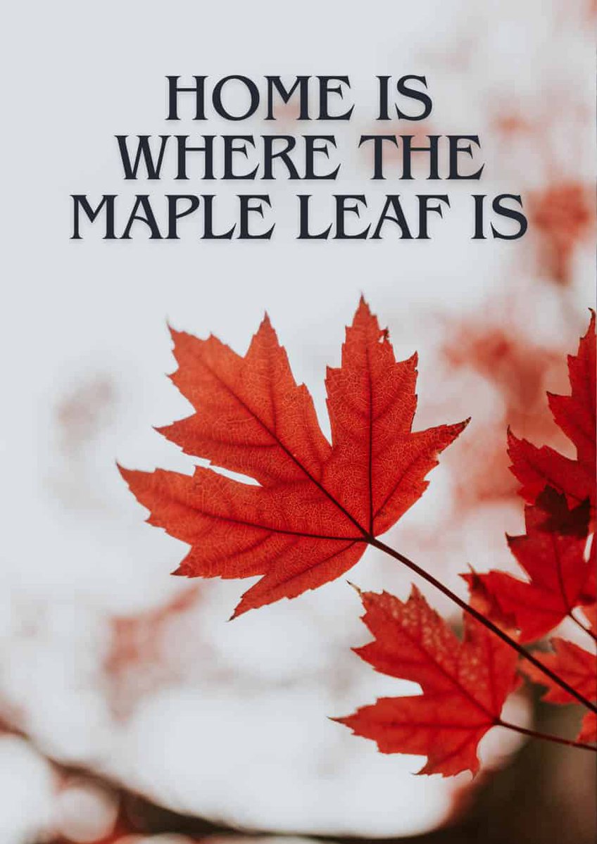 Kate Wright ❤️🇨🇦❤️ tweet media