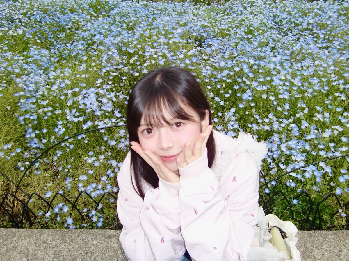 乃木坂46 tweet media
