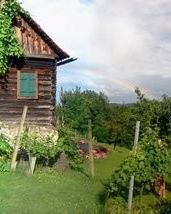 plone's tweet photo. Buschenschank Sprint kicks off tomorrow! It’s going to be Classic ✨️ 

From 26–31 May 2026 we'll be working in the heart of Austria’s vineyards—and online. We’ve picked up the baton from last week’s Beethoven Sprint in Bonn and are continuing with new tasks for Plone ClassicUI. https://t.co/xaX5FPP5nA