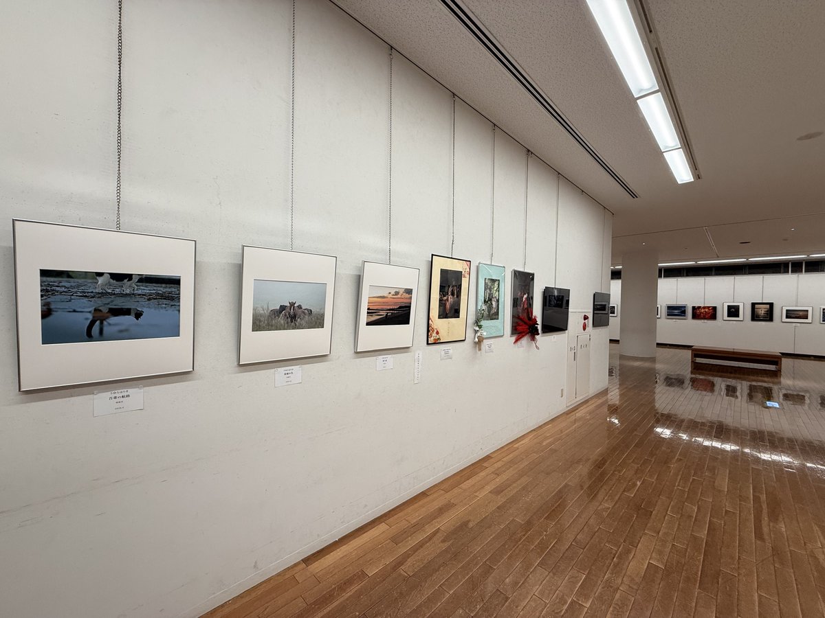 Asographer's tweet photo. 明日26日から31日まで、熊本県立美術館分館にて開催します、第1回合同写真展 「それぞれの世界」

本日無事に設営完了しました！

私は明日火曜日終日、土曜日終日、日曜日午後在廊予定です！

皆さまのお越しをお待ちしております🙇‍♂️

#それぞれの世界展 https://t.co/0aeGgs3Fke