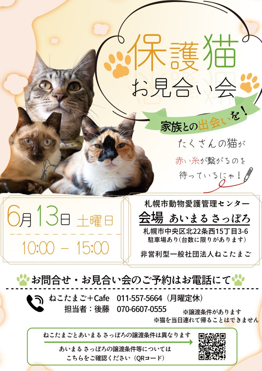 sapporo_dobutsu's tweet photo. 【あいまる さっぽろ×ねこたまご合同譲渡会】６月13日（土）の休日開庁は、ねこたまごさんとの合同開催です！
猫の飼育を検討されている方は、ぜひご参加ください🐱
https://t.co/XJZbwytjVu https://t.co/5qX8CyKjft