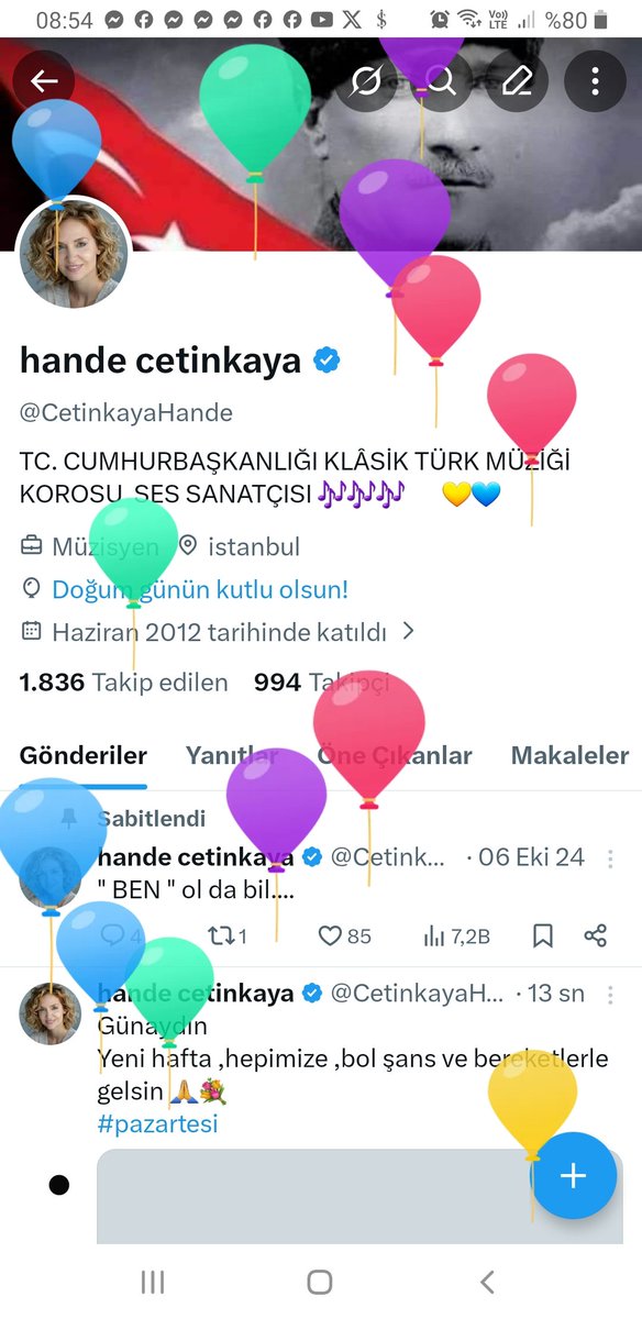 hande cetinkaya tweet media