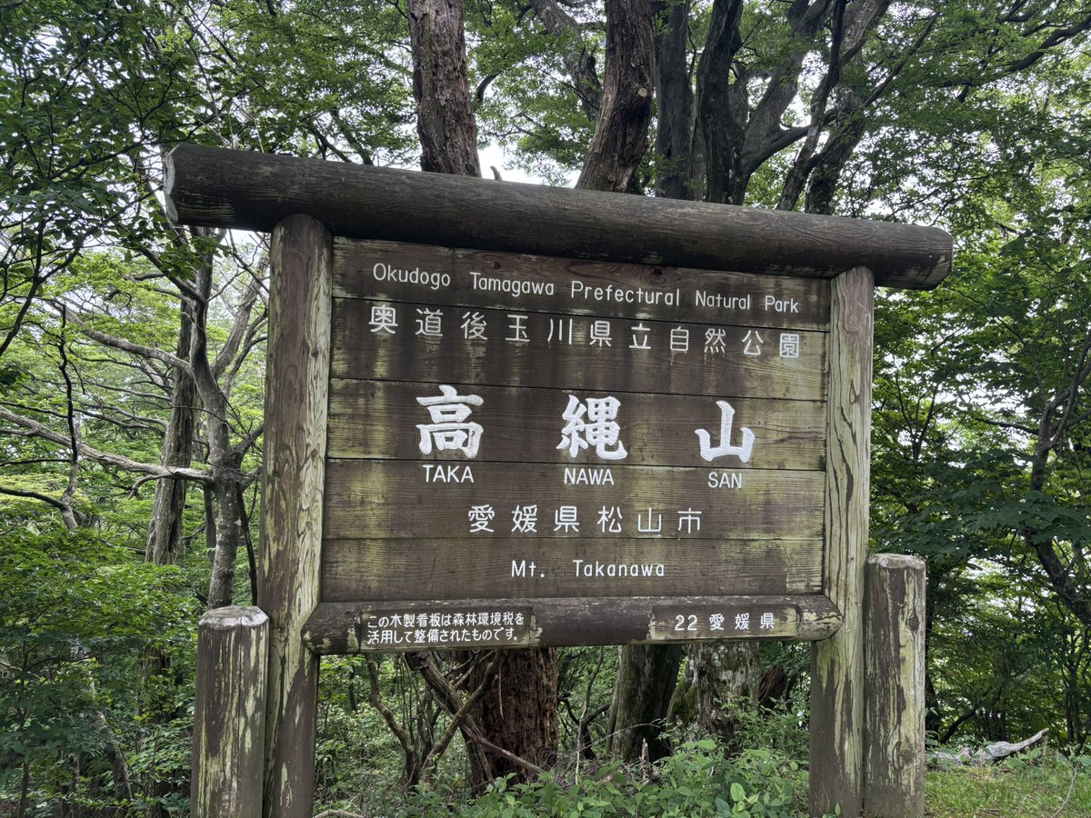 3Sky16's tweet photo. 高縄山に登りましたー⛰️
院内登山口から往復　ベニシャクもヤマシャクも開きかけが好みなので丁度良かった https://t.co/Vqbu5GES8I