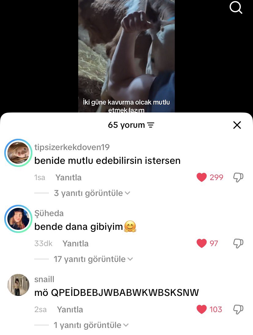 bambi tweet media
