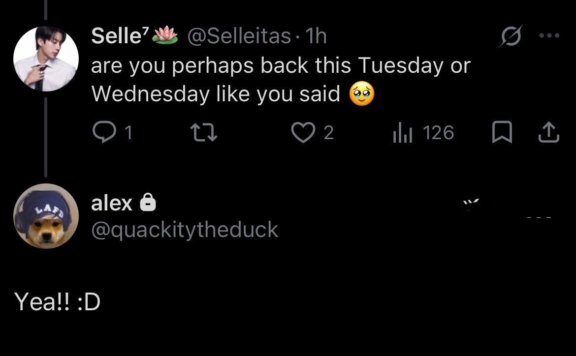 QUACKITY UPDATES 🌐 tweet media