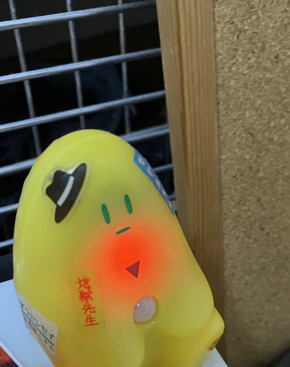 雄一 tweet media