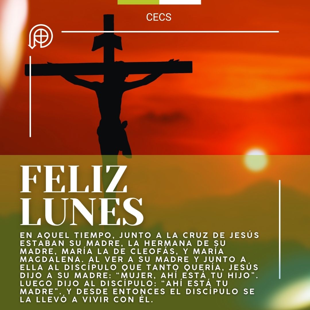 CECS tweet media