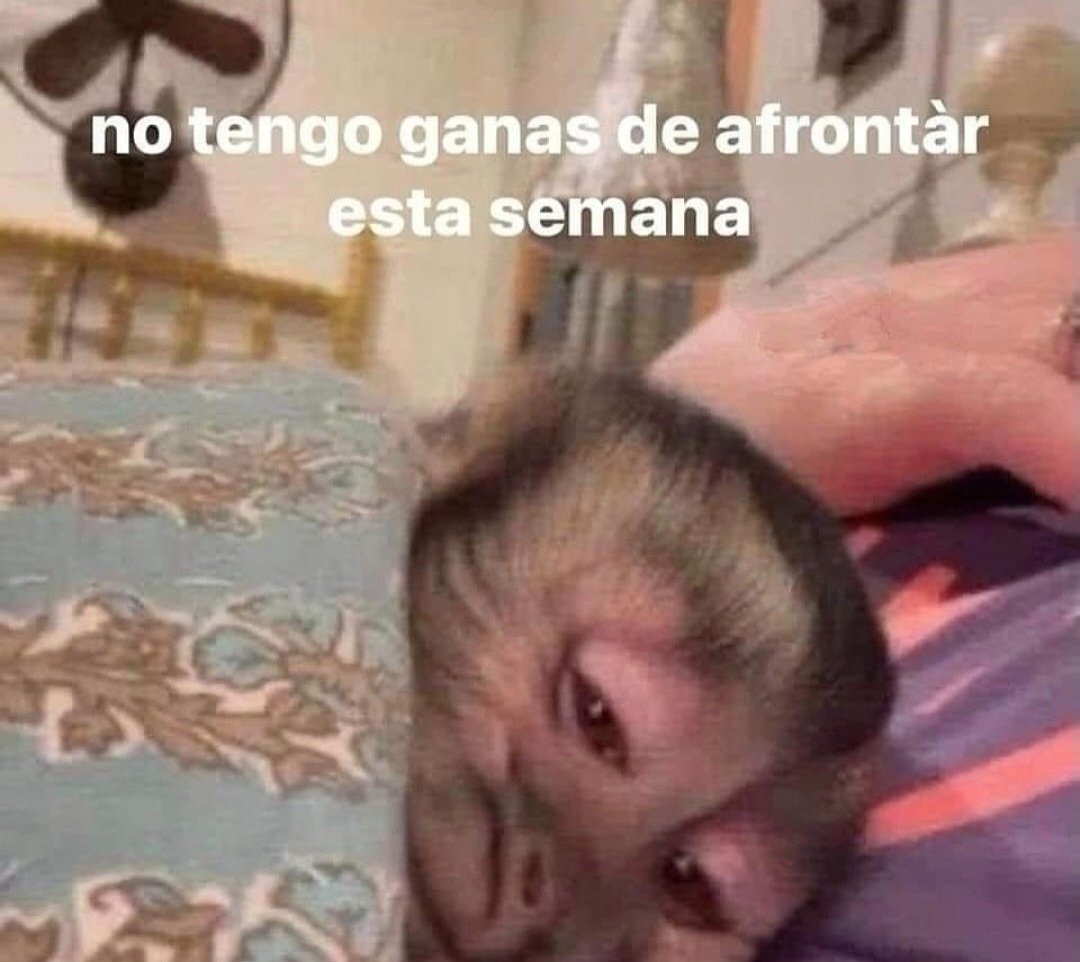 En Júpiter tweet media