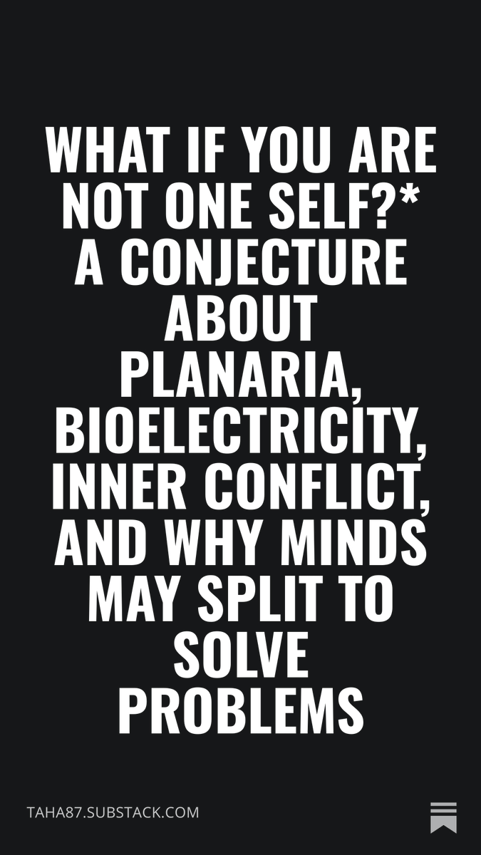 TahaElGabroun's tweet photo. From planaria to minds: a Popperian conjecture awaiting refutation. Not just another society of minds theory.
#bioelectricity #consciousness #AI #Popper

https://t.co/Y3WsD598r6 https://t.co/1JDhnRYtDd