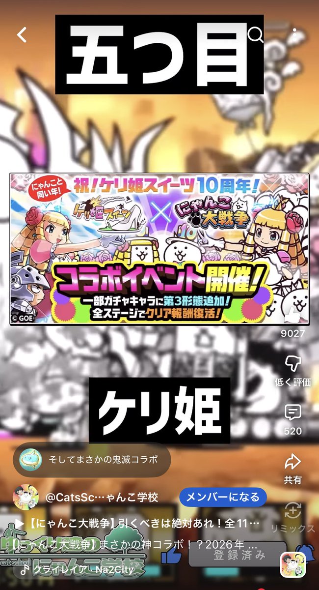 ゆっくり達のにゃんこ学校 tweet media