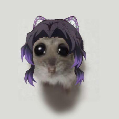𝓜 (♡) 𝐑𝐈𝐀 𝐇 .ᐟ𝐌𝐀𝐊𝐈 .ᐟ ── ➛🫀 tweet media