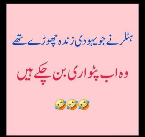 zia alam tweet media