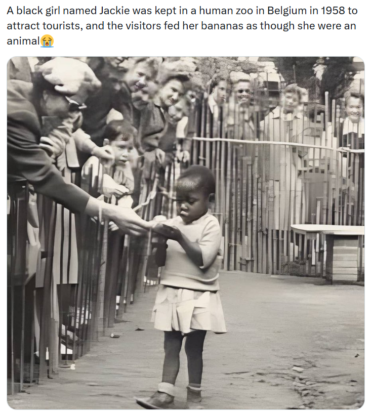 Curious MiND tweet media