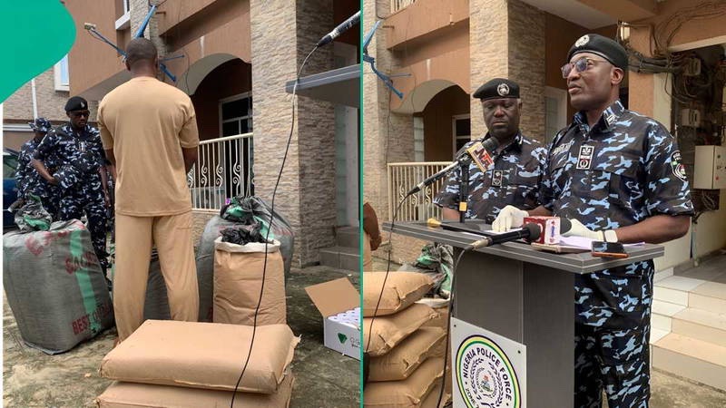 Nigeria Stories tweet media