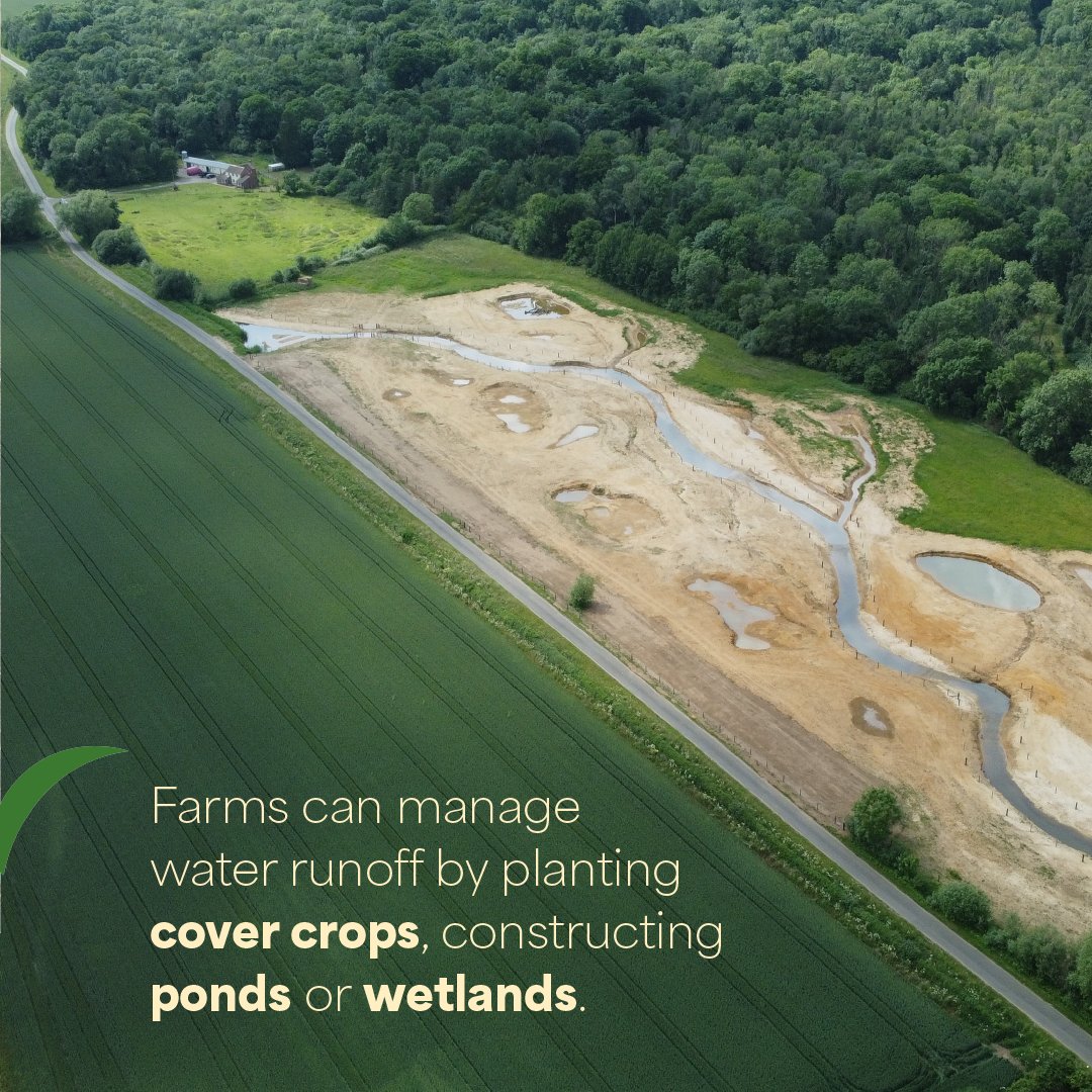 LEAF_Education's tweet photo. Water is one of farming’s most precious resources &amp; farmers work hard to protect it.

Help students understand why #water stewardship is vital to food production &amp; nature💧
Farming Fortnight 2026 runs 1-14 June

Get your free resources: https://t.co/GRXbviX4EB 
#FarmingFortnight https://t.co/juDQ9drlgs