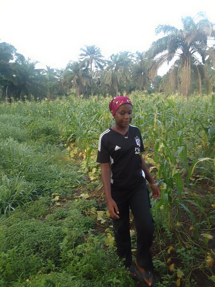 Favour Eze tweet media