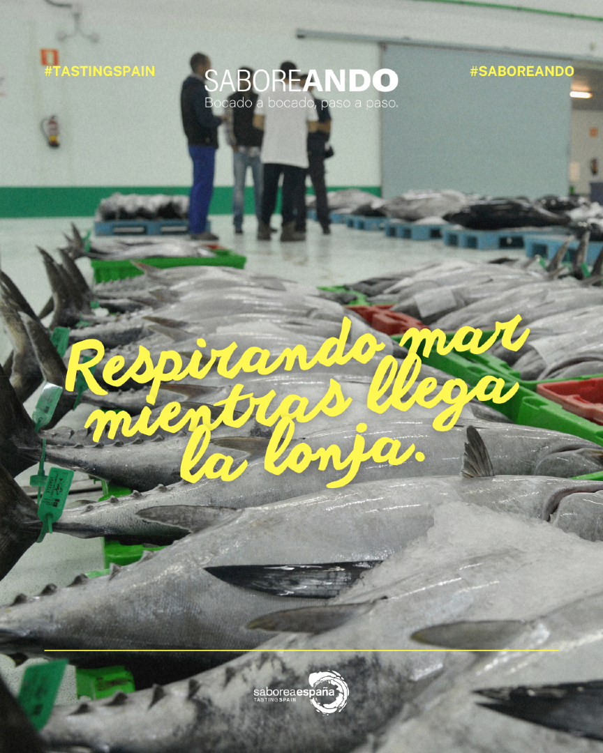 SaboreaEspana's tweet photo. Aquí el mar no se mira: se trabaja. Y tú lo saboreas cuando el producto llega con nombre y apellido.
#SABOREANDO #TastingSpain #Lonja #Mar #ProductoFresco #CulturaGastronómica https://t.co/32q2rPhKnK