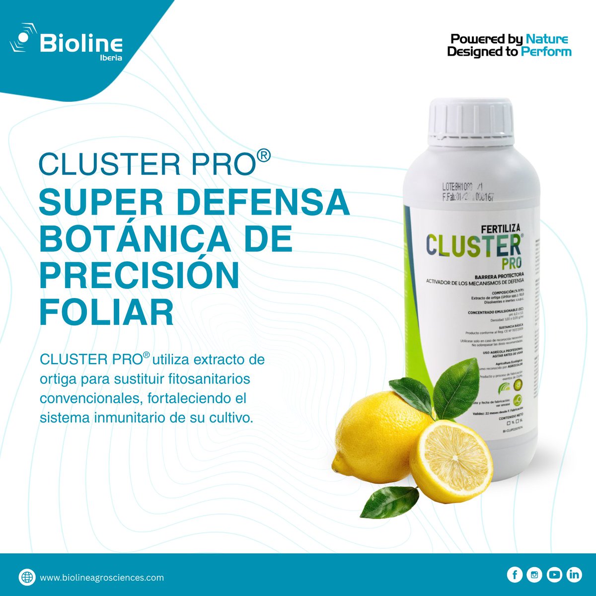 Bioline Iberia (@BiolineI) / Posts / X