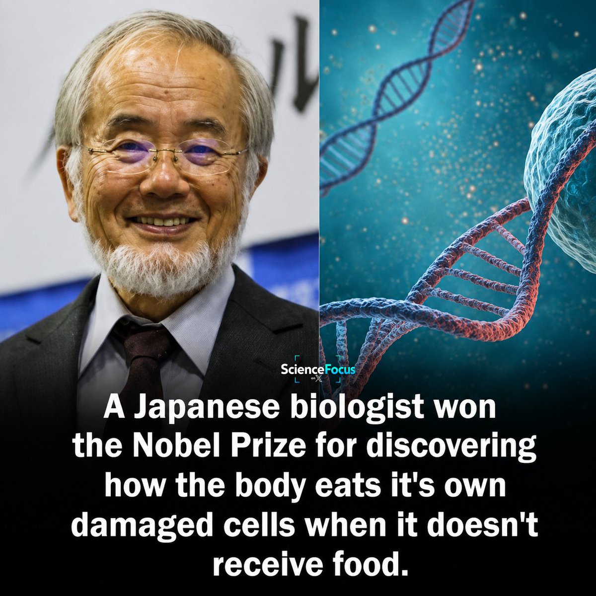 ScienceFocus tweet media