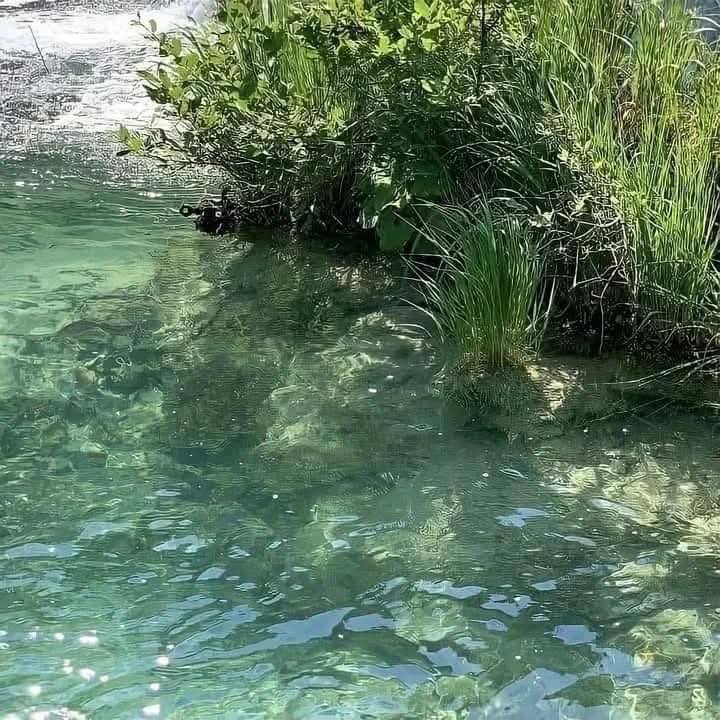 bloomele_'s tweet photo. tranquil vibes https://t.co/ppCvUucpQT