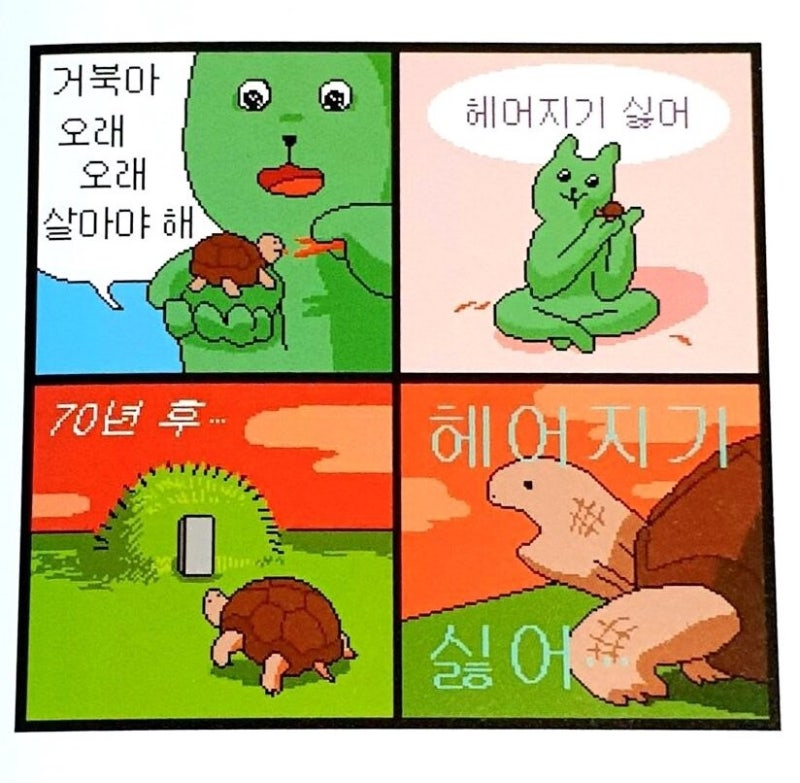 캣양 tweet media