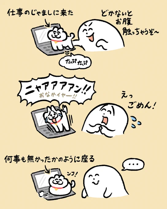 仕事のじゃましに来たねこ 