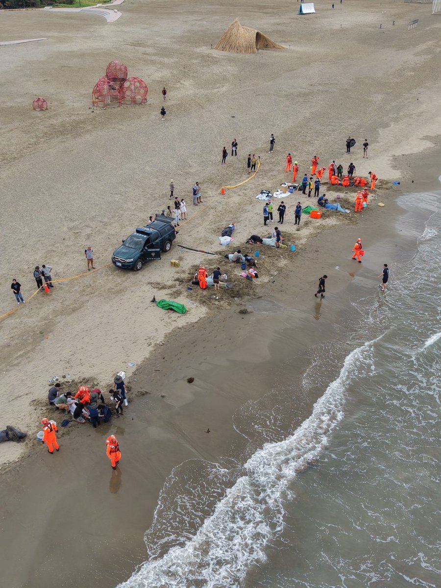 oacroc's tweet photo. Since 2019, Taiwan’s Ocean Conservation Administration has integrated resources from the Coast Guard Administration (including more than 200 inspection offices), local governments, research institutions, and civil organizations to establish the Marine Animal Rescue Network (MARN).

Based on the 4R principles — Research, Rescue, Rehabilitation, and Release — MARN has gradually developed standardized rescue and response procedures for protected marine wildlife.

This year, two mass strandings of Pygmy killer whales (Feresa attenuata) occurred at the northern and southern ends of Taiwan. Thanks to timely reporting and the MARN rescue mechanism, most of these whales were successfully returned to their home — the ocean. 🌊

Pygmy killer whales are highly social animals, which is why entire pods may mass strand when some individuals become weak.

We are deeply grateful to the public for recognizing these situations quickly and notifying rescue teams immediately, and to all frontline MARN responders whose dedication helped save so many precious lives. 🐋