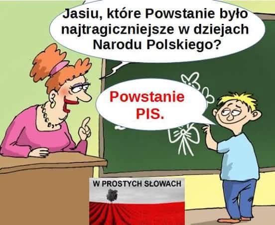 Anna Kola tweet media
