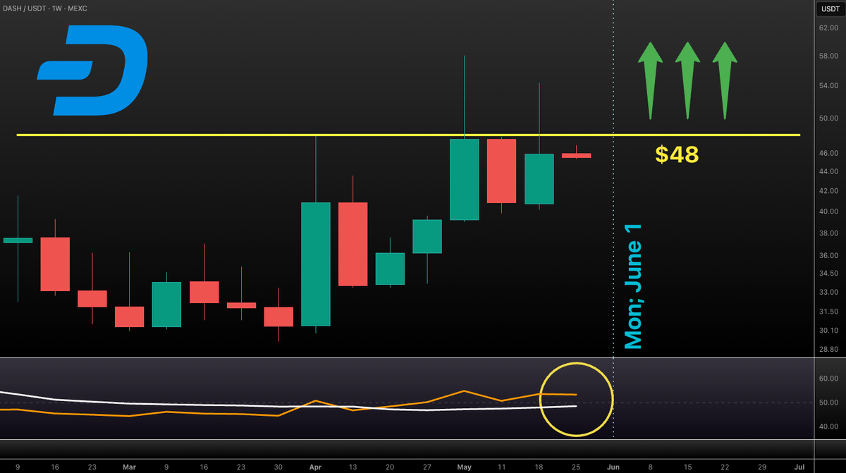 Vuori Trading tweet media
