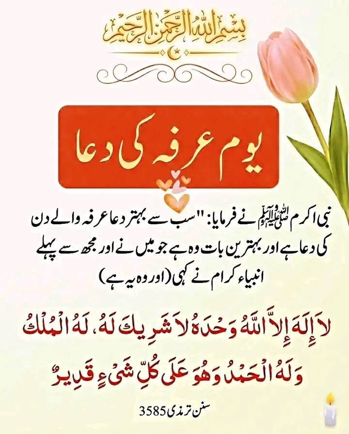 Nabeel Zaffar tweet media
