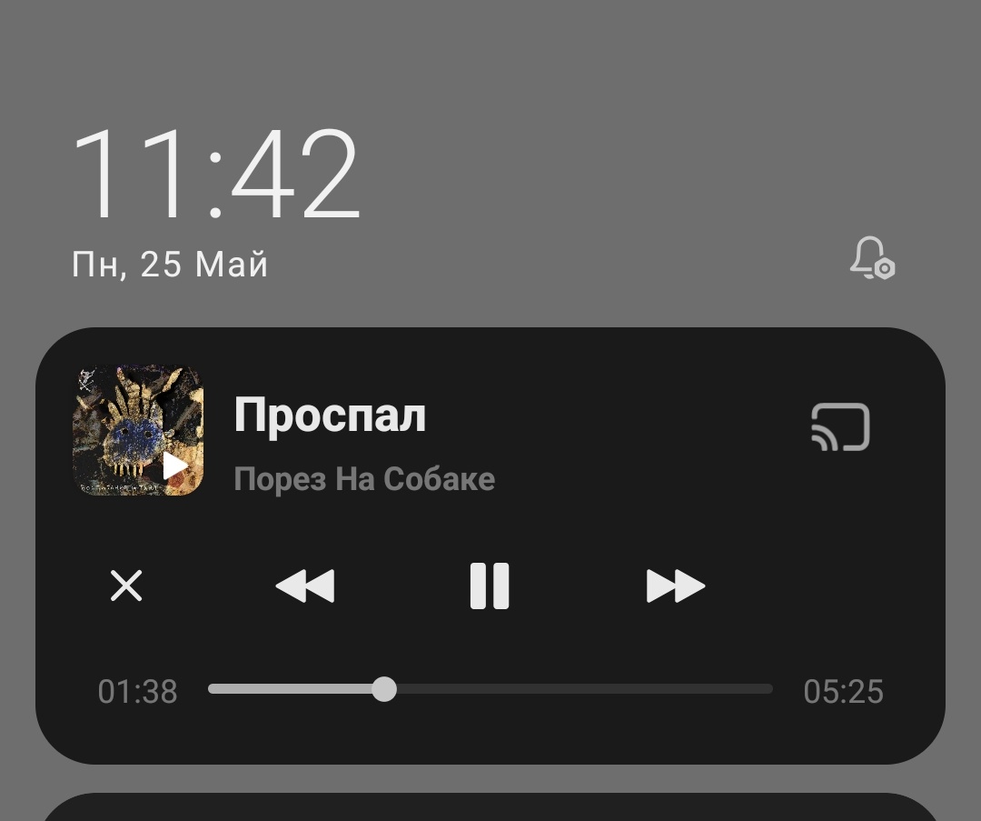 MenisPusic tweet media
