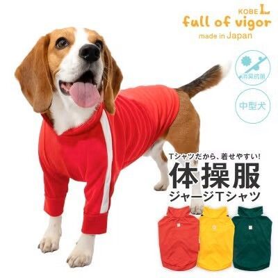 犬服