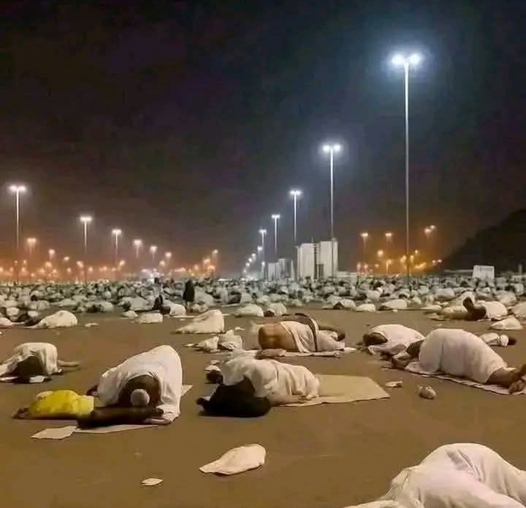 HafizUmari313's tweet photo. د 1447 کال د #حج_مراسم پیل شول!
حاجیان نن منی شریفې ته انتقال شول.
په مِنٰی شریفه کې د ذو الحجة الحرام میاشتې د اتمې ورځې او نهمې شپې له تیرولو څخه وروسته حاجیان د ټاکل شوي پلان له مخې د عرفات میدان ته انتقالیږي او هلته به په نهمه ورځ د عرفات په میدان کې د حج تر ټولو 
1\4 https://t.co/NUHPhwp1hN