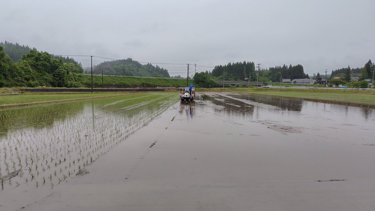 mash_labo27's tweet photo. 田植え！あいにくの雨でしたが、整然とした仕上がりです！研究室の学生さんもお試しで一列運転させてもらいました。なかなか上手😄 https://t.co/Dna9AKUDUY