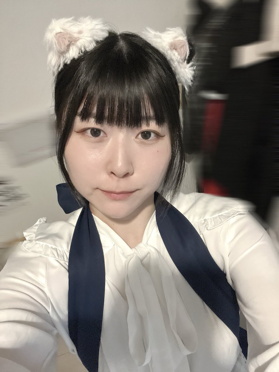 ミリ＠みけねこカフェ池袋 tweet media