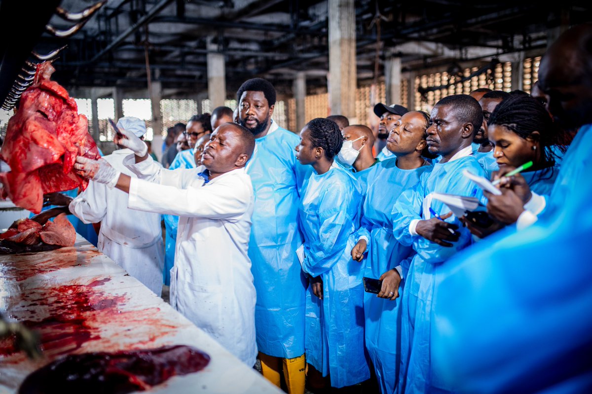 FAO en République démocratique du Congo tweet media